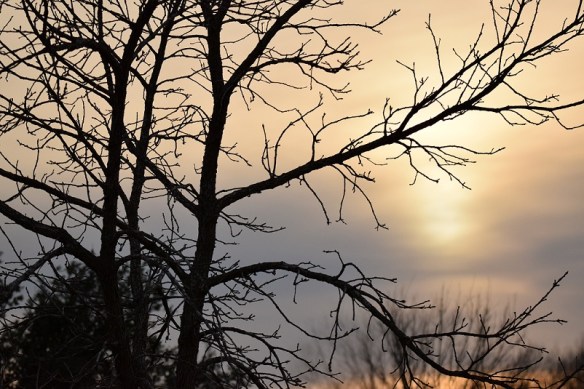 Cloudy January sunset