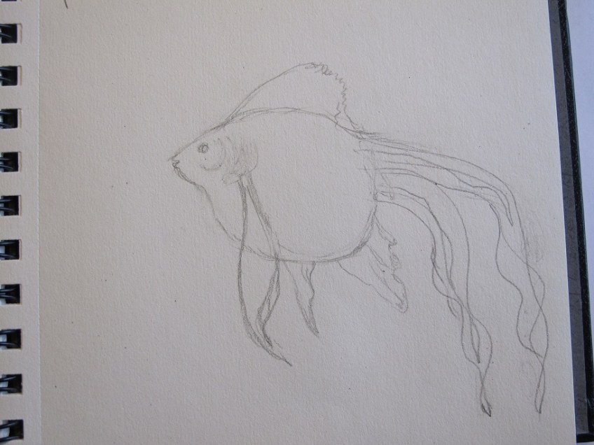 Sketch of goldfish, no color