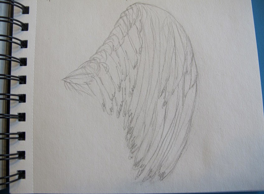 A sketch of an imaginary wing