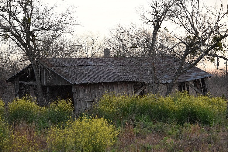 An old abandoned barn that is so old it is leaning to the side
