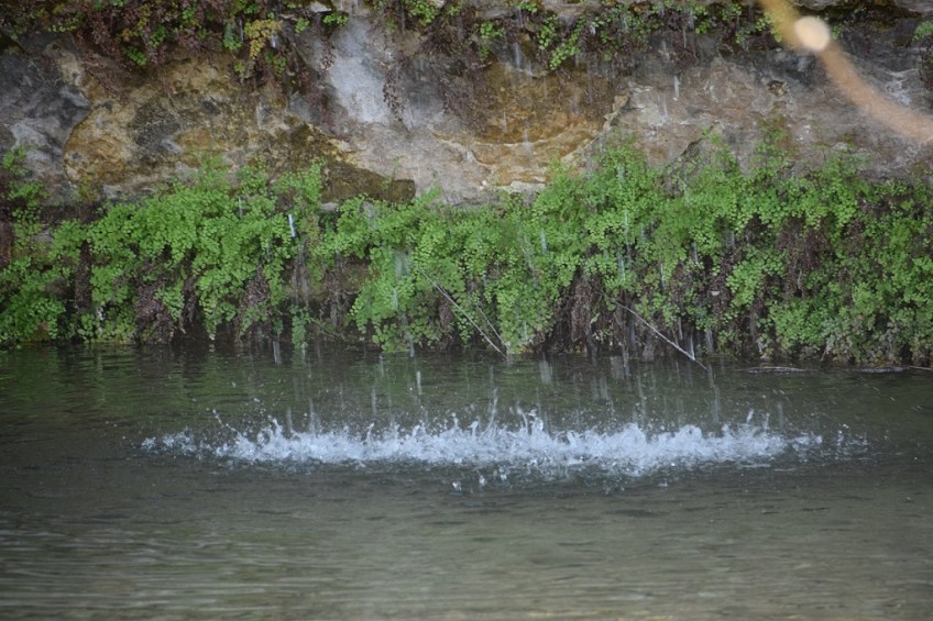 The bottom of the waterfall, where the falling water enters the pond