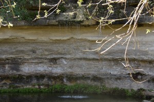 a small waterfall in St. Edward's Park