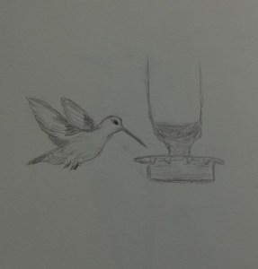 Sketch of a hummingbird flying to a feeder