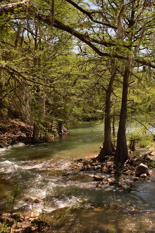 Guadalupe River
