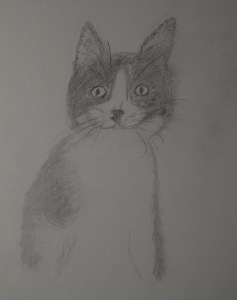Sketch of Sally The Kitten