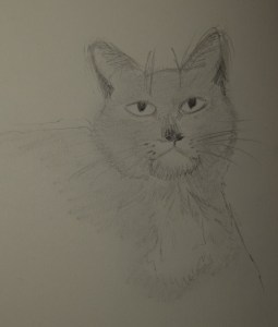 Sketch of Adore The Cat