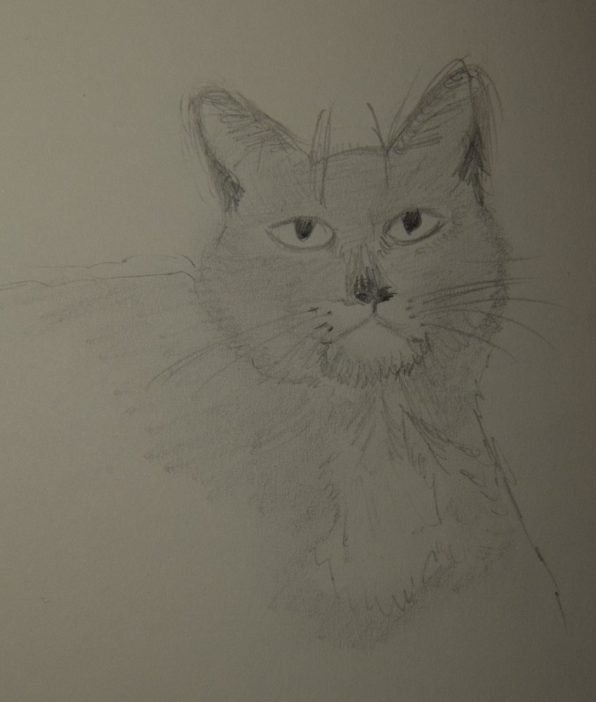Sketch of Adore The Cat