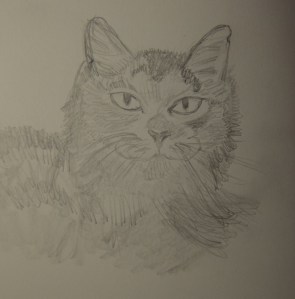 Sketch of Megs The Cat
