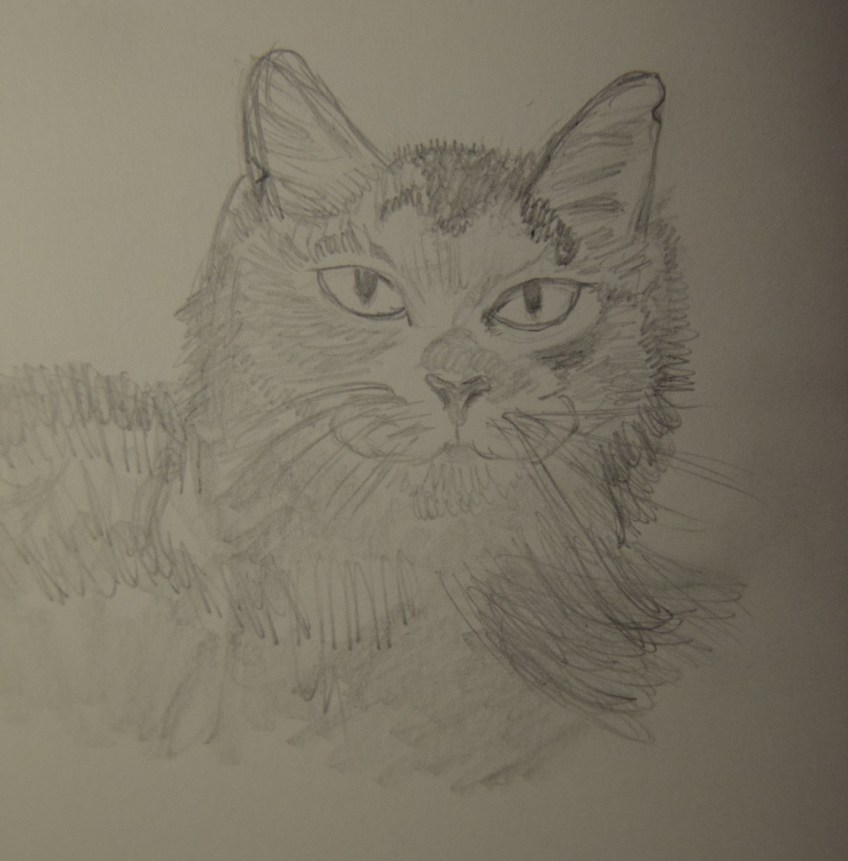 Sketch of Megs The Cat
