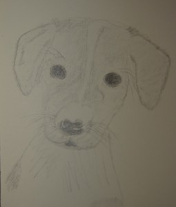 Looking a bit like Pria