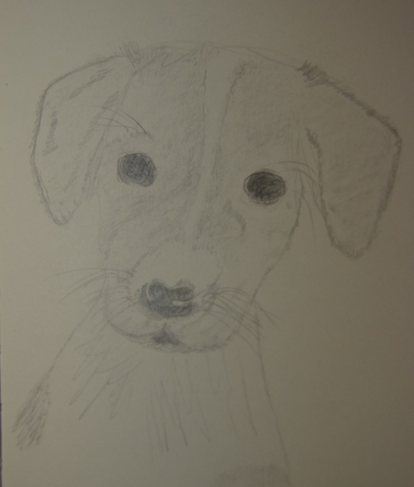 Looking a bit like Pria