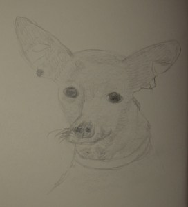 Sketch of Chiquita with Bat Ears
