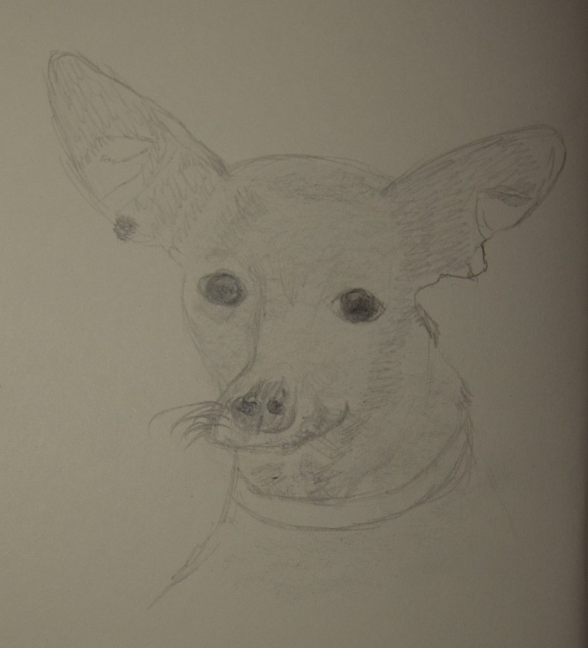 Sketch of Chiquita with Bat Ears