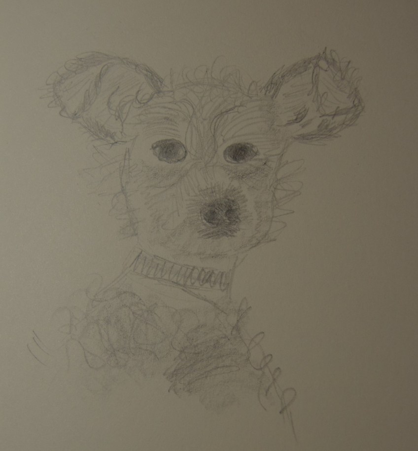 Sketch of Fuzzy the Dog