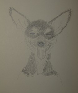 Sketch of Coco the Navigator Dog