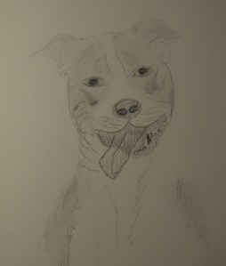 Sketch of Lyla the Smiling Dog