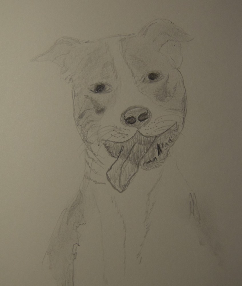 Sketch of Lyla the Smiling Dog