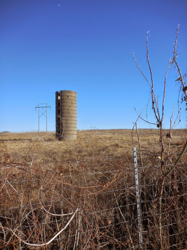 Copyright Marie Gail Stratford