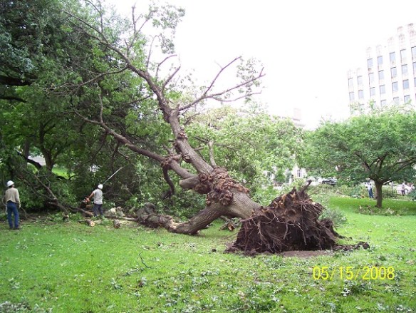 Forces of Nature s (3)