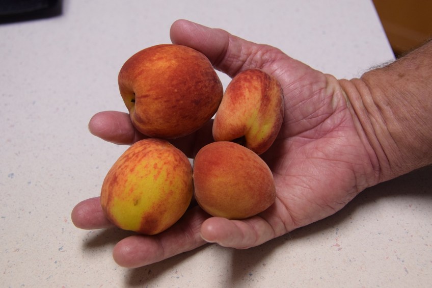 Four peaches