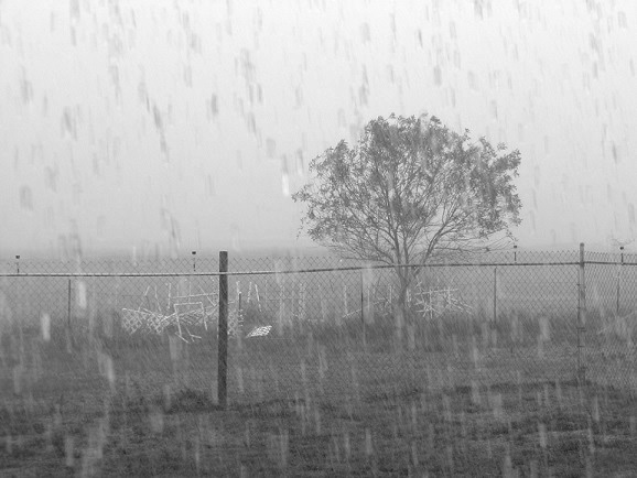 A little rain off the back porch
