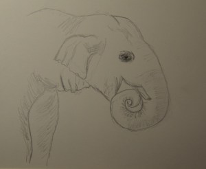 Sketch of an Asian Elephant