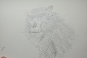 Sketch of the Monkey