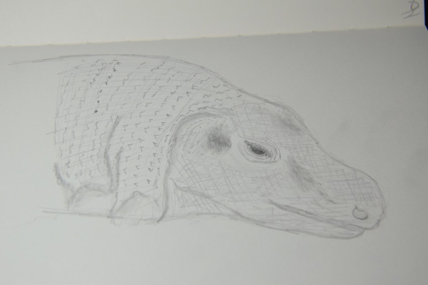 Sketch of a Komodo Dragon at the Houston Zoo