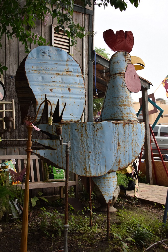 Blue Rooster at Bluewr Myles