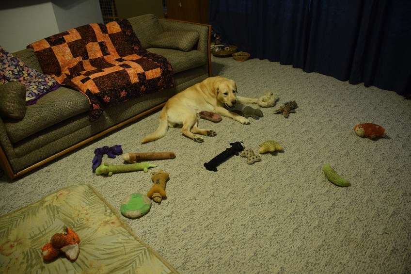 Some of Dusty's toys