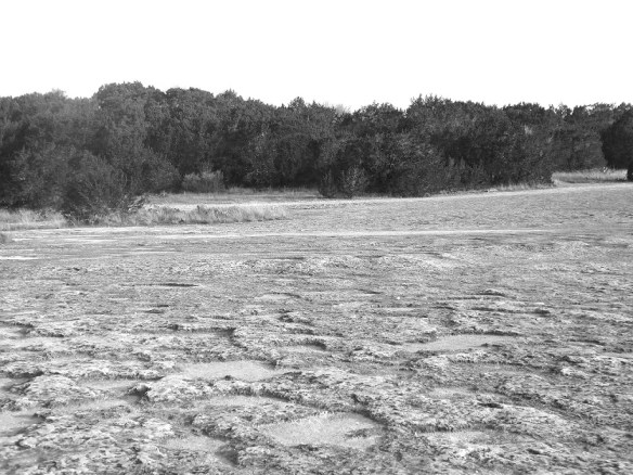 At McKinney Falls State Park
