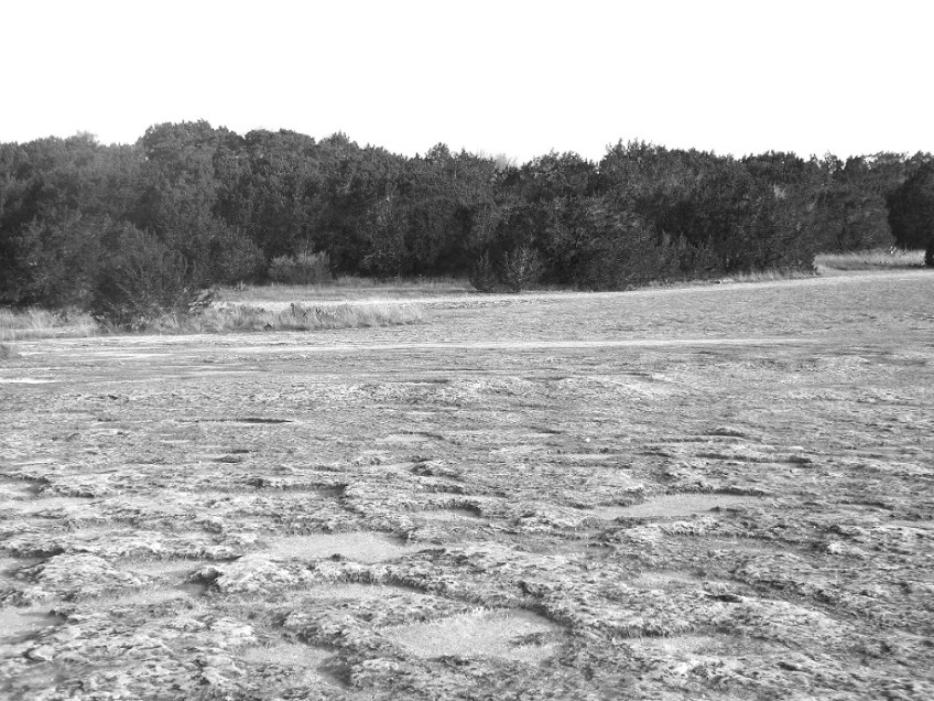At McKinney Falls State Park