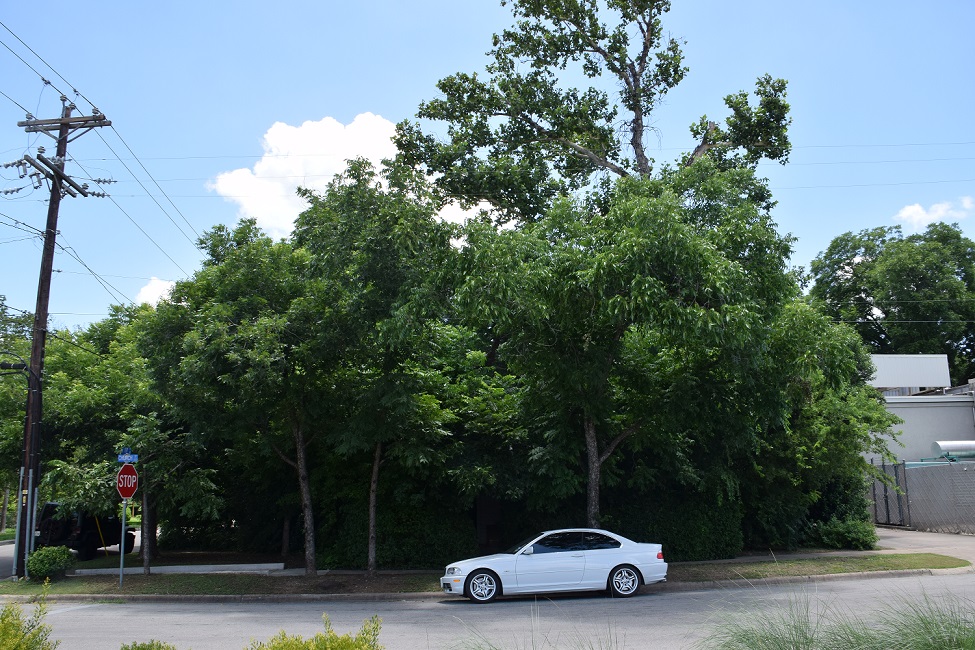 House in Georgetown, Texas, June 2015
