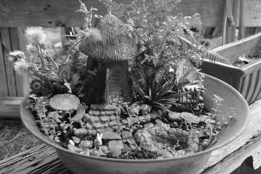Fairy Garden