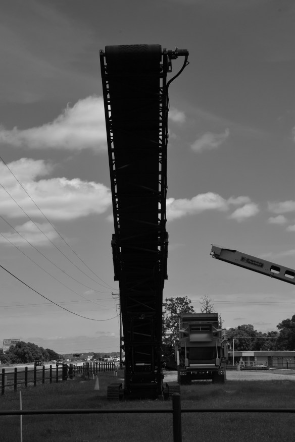 Large Subjects 2 B&Ws