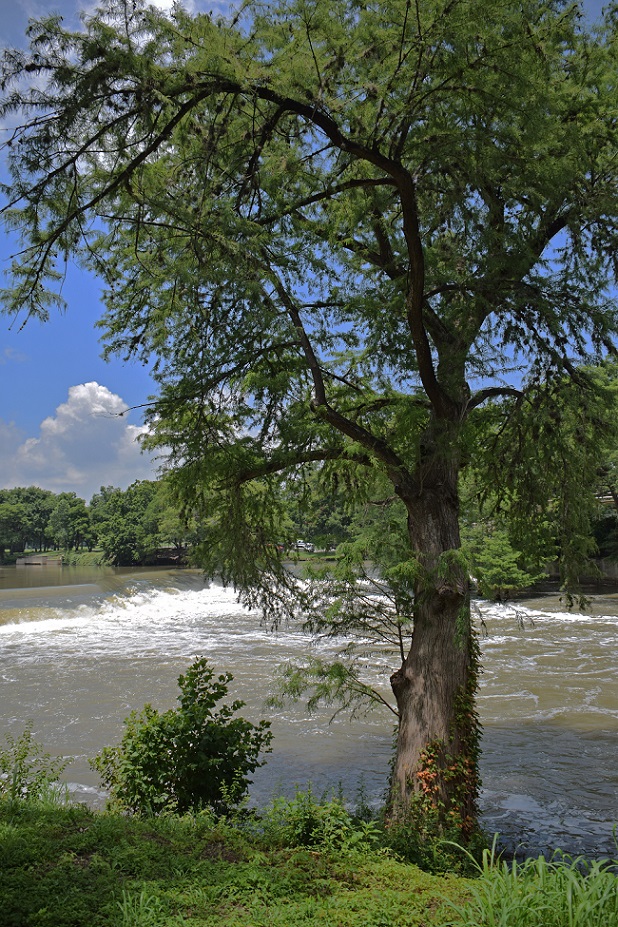 Guadalupe River at the Seguin Power Plant