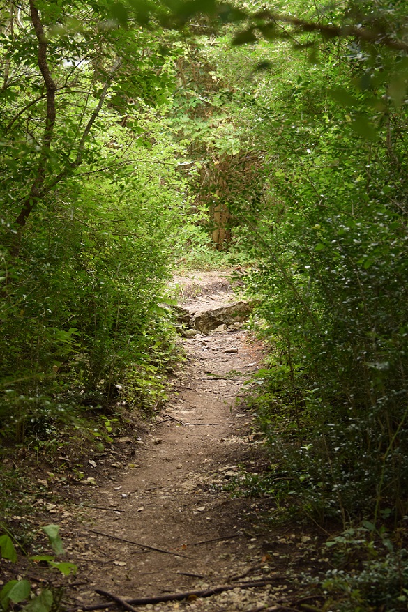 Spicewood Valley Trail