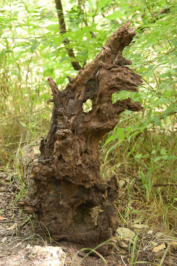 Artistic tree stump