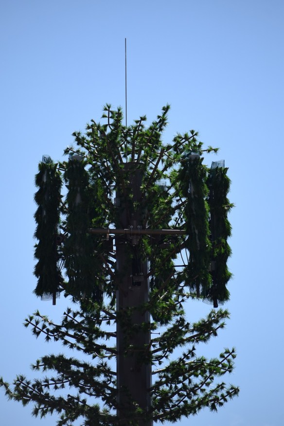 in Tres Piedras, New Mexico