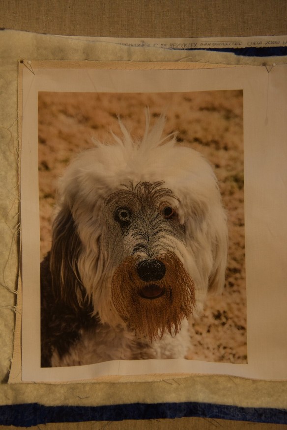 B Bear (a thread painting in progress), looking a little surprised