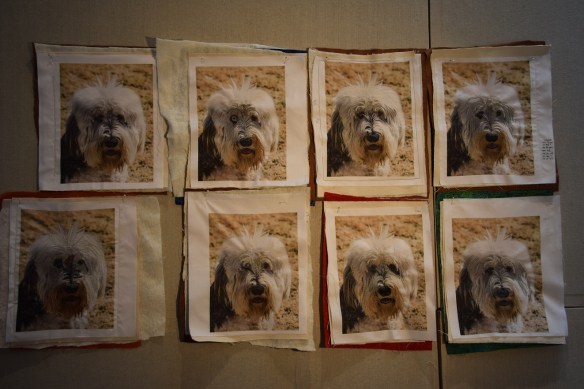 Everyone's in-progress B Bear thread portrait