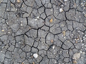 The Earth Cracked (1)s