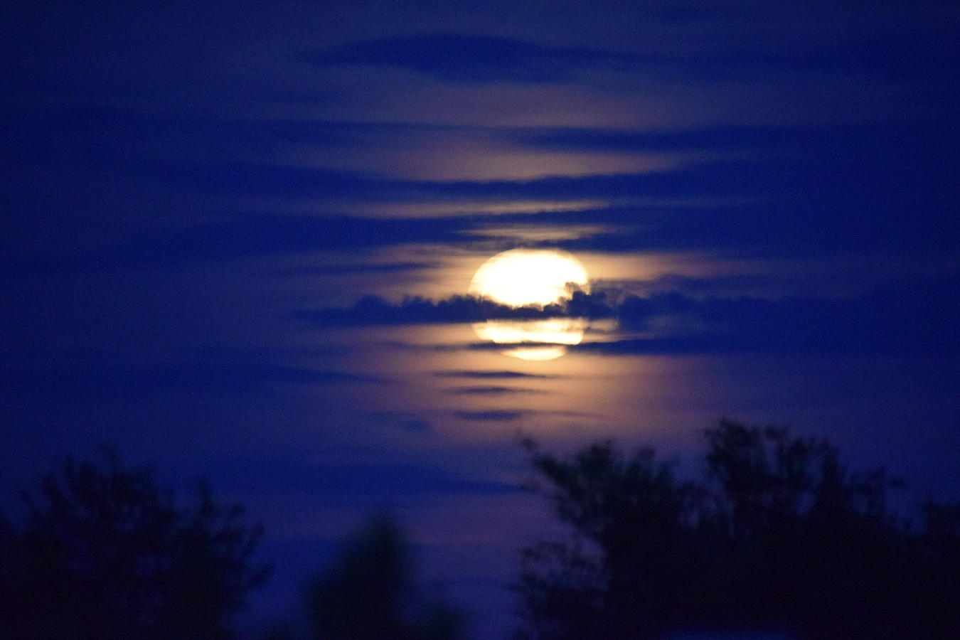 The Earth Cracked (2)s