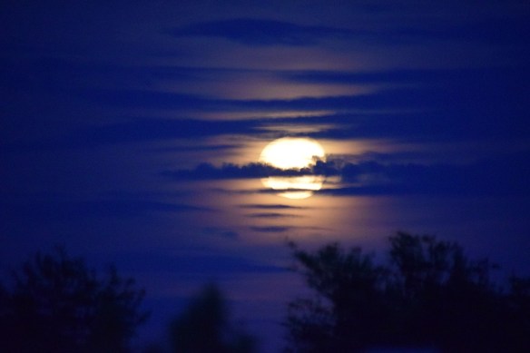 The Earth Cracked (2)s