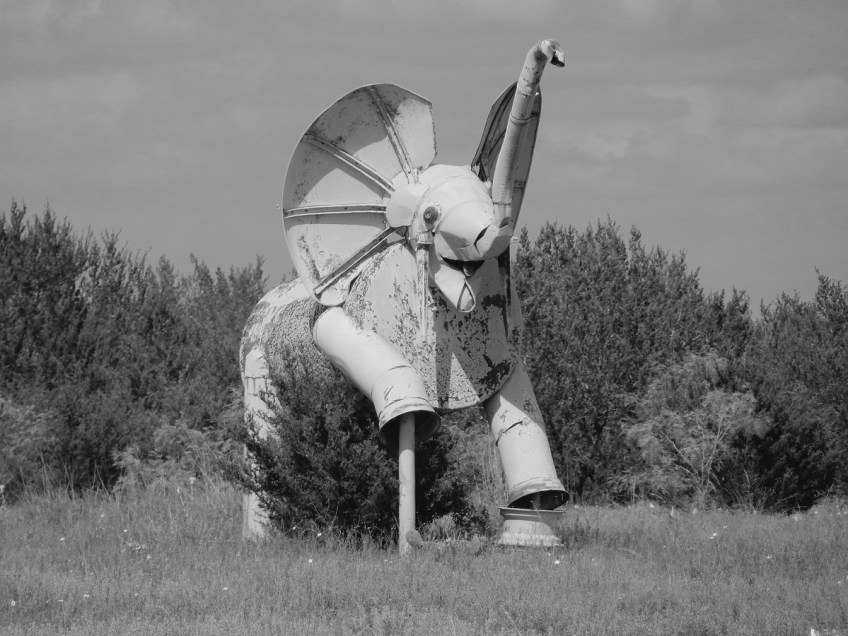On the Rockin' R Ranch (Texas)