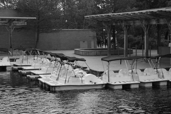 Public Transportation 2 B&Ws