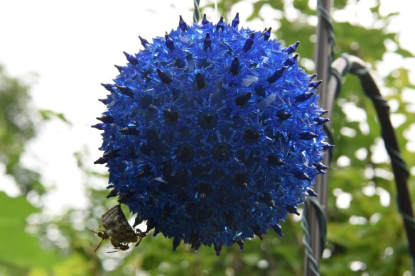 A wasp nest on a round, outdoor light fixture
