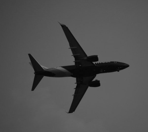 The underside of an airplane flying over our yard