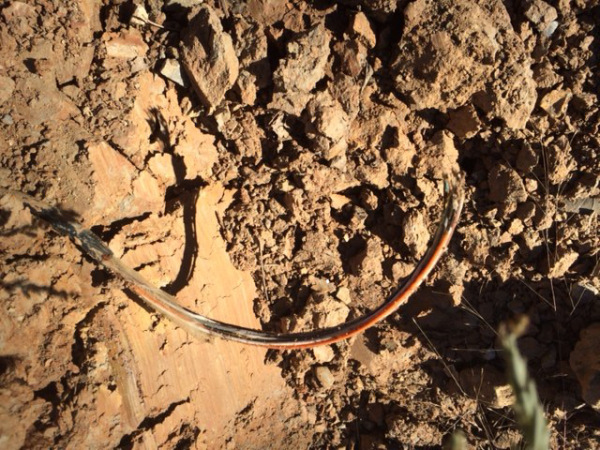 Photo copyright Connie Gayer