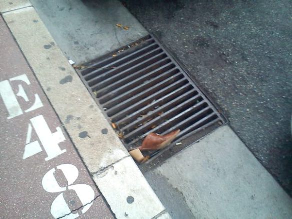 Photo copyright C.E. Ayr